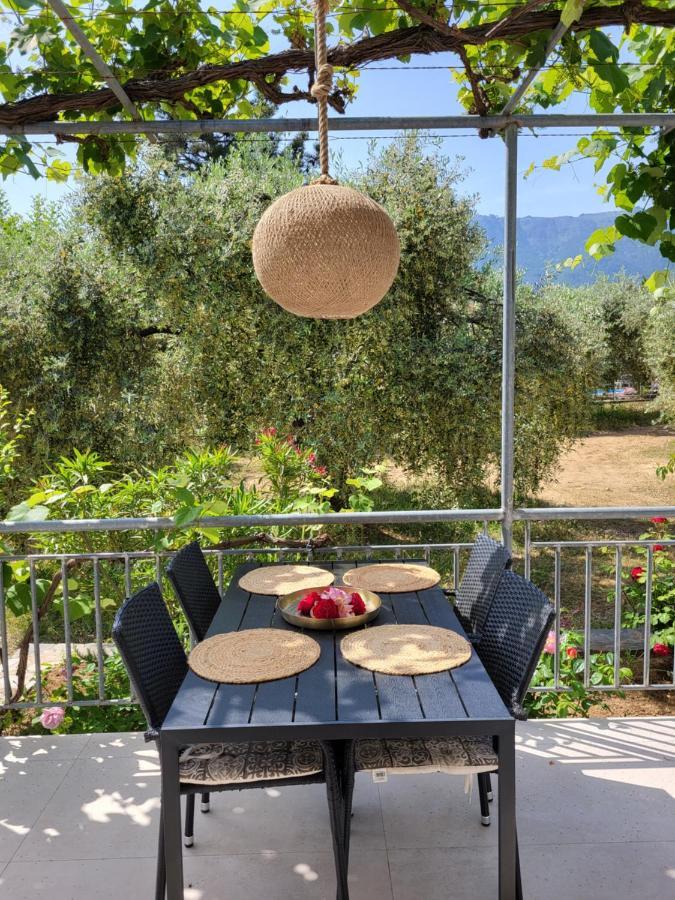 Ioannis Houses - Gemuetliches Ferienhaus Im Olivenhain Скала-Потамиас Экстерьер фото